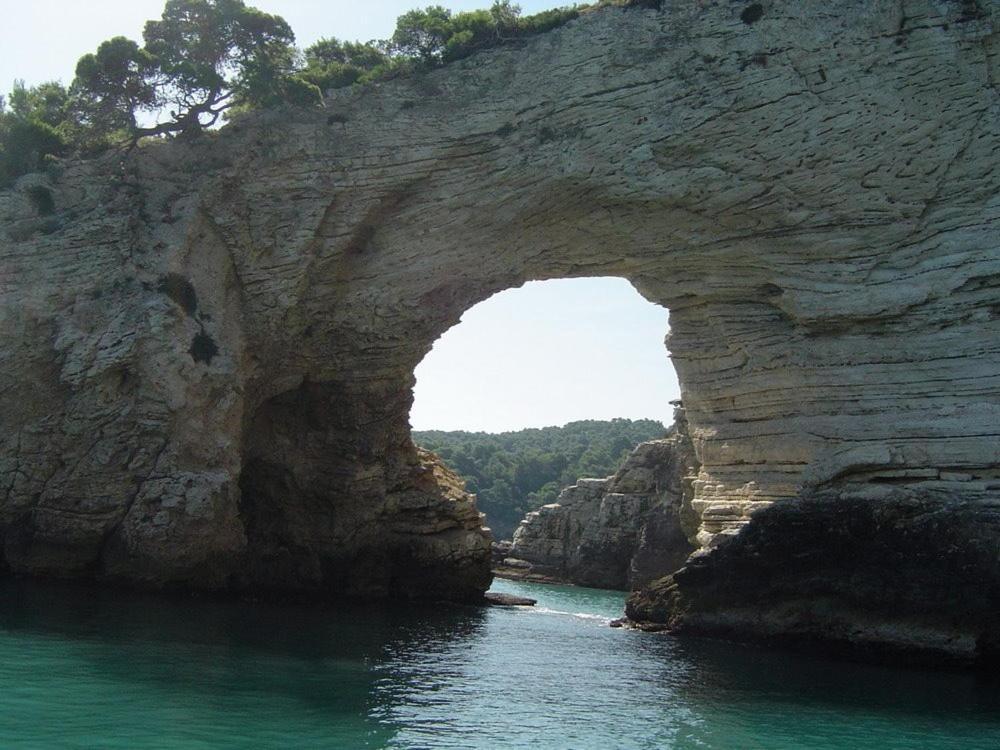 Villa La Ficuzza 西塔德拉德尔卡波 外观 照片